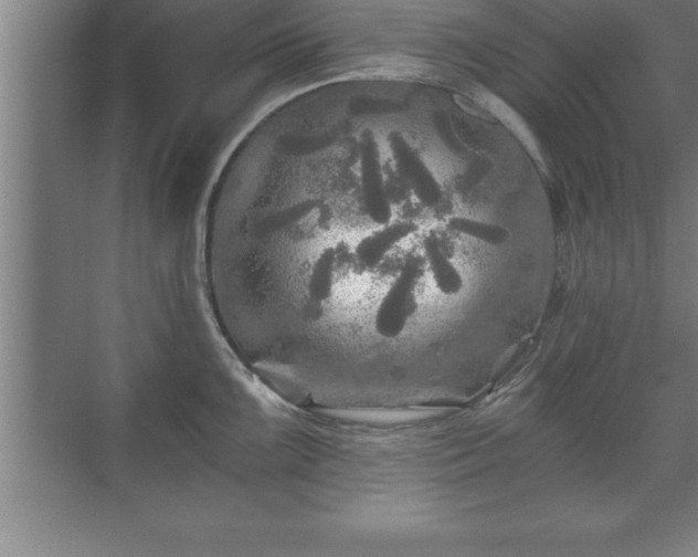 X0000071331099200606301554