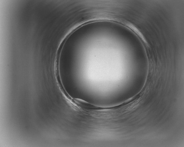 X0000071331101200606301554