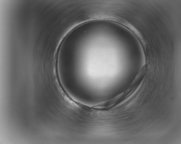 X0000071331102200606301554