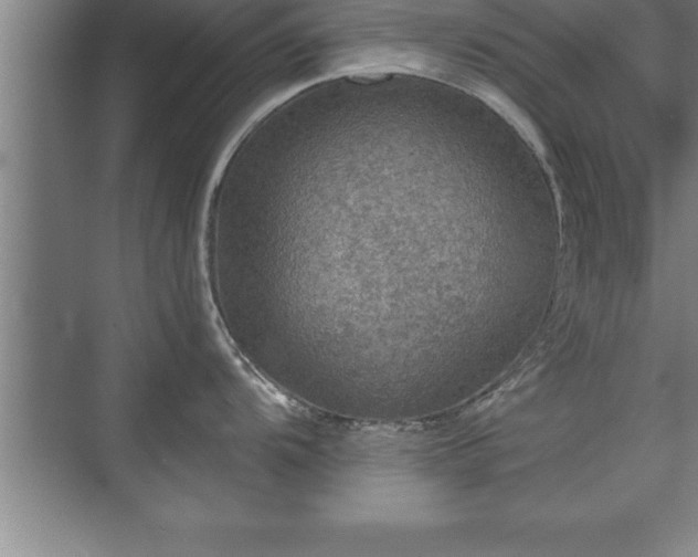 X0000071331104200606301554