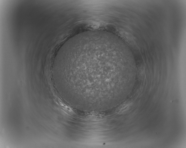 X0000071331105200606301553