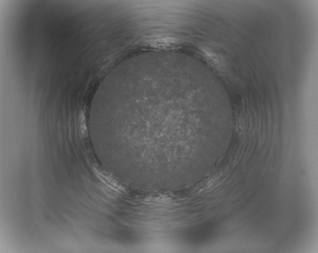 X0000071331106200606301553