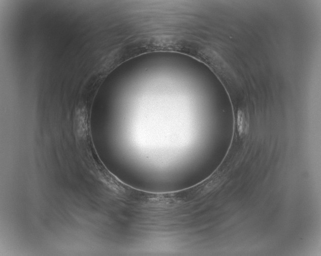 X0000071331107200606301553