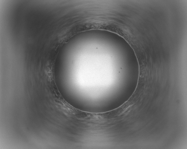 X0000071331109200606301553