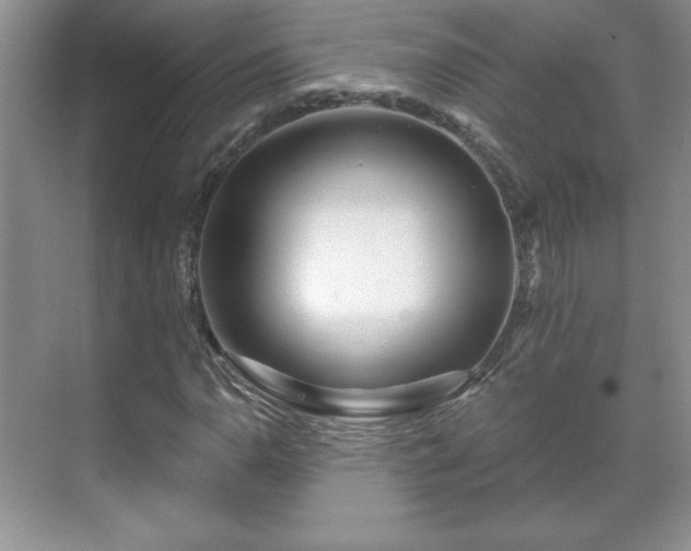 X0000071331110200606301553