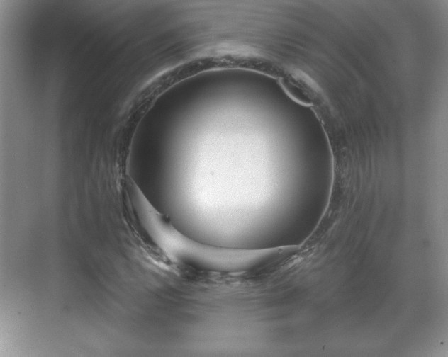 X0000071331112200606301553