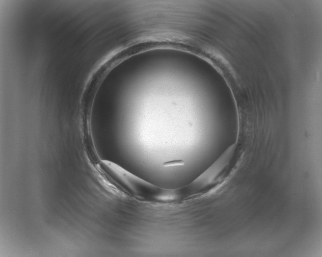 X0000071331114200606301553