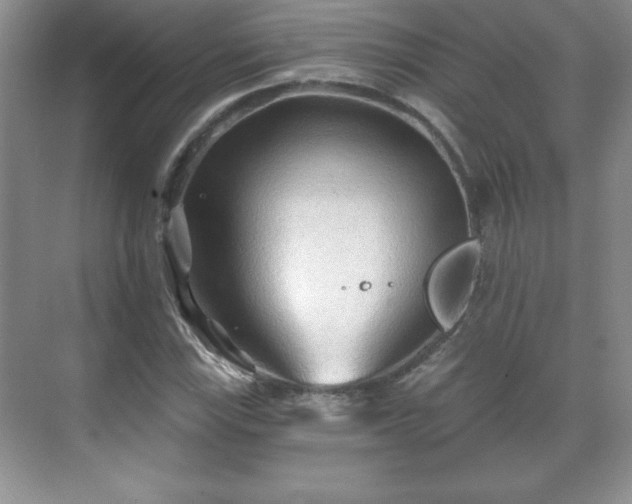 X0000071331115200606301553