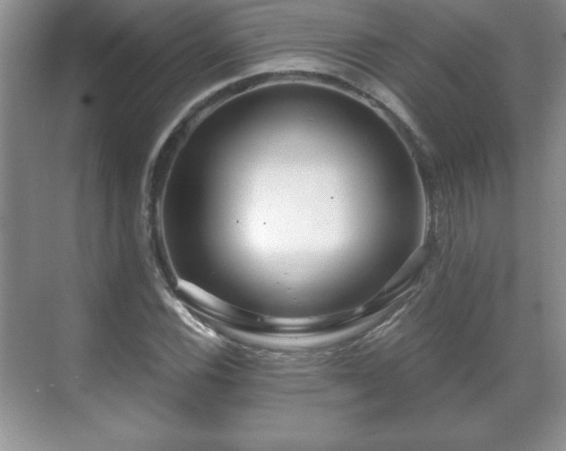 X0000071331116200606301553