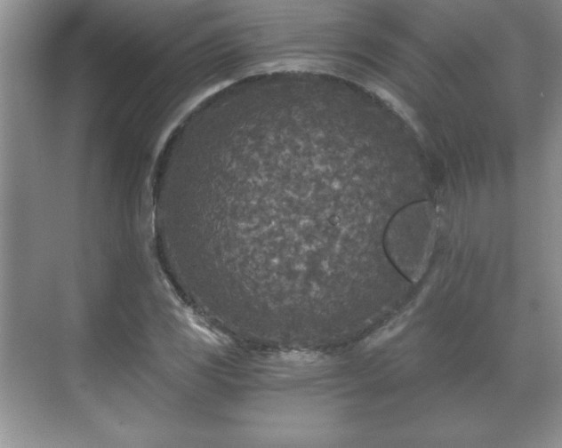 X0000071331117200606301553