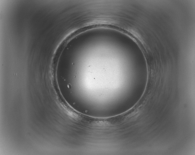 X0000071331119200606301553