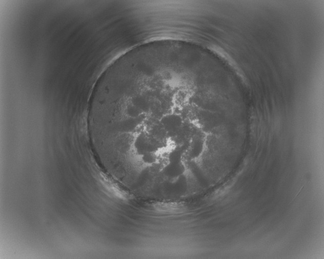 X0000071331121200606301553