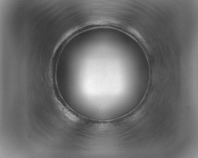 X0000071331122200606301553