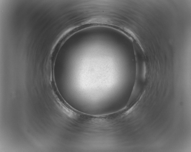 X0000071331123200606301553