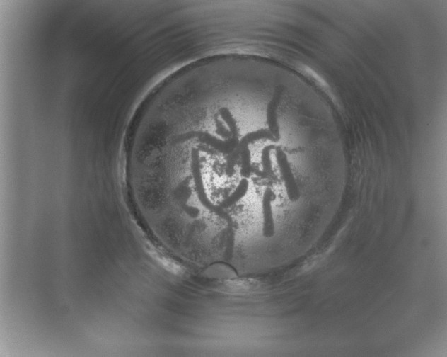 X0000071331125200606301553