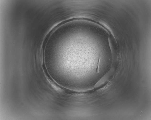 X0000071331127200606301554