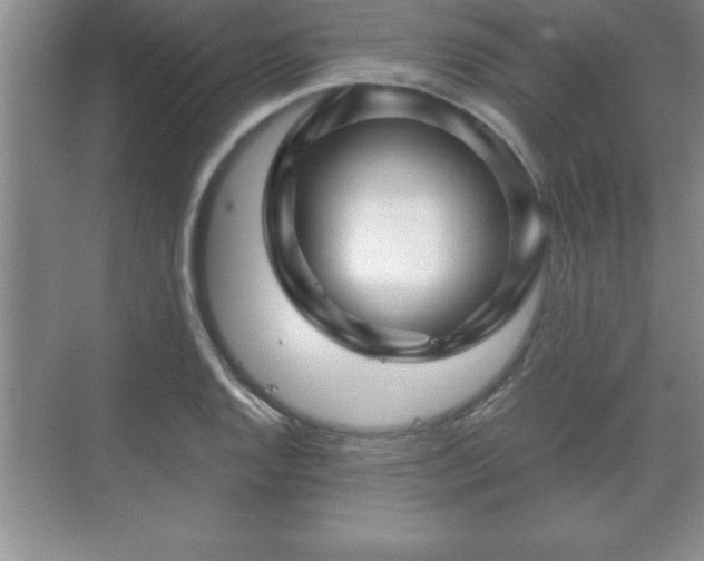 X0000071331128200606301554