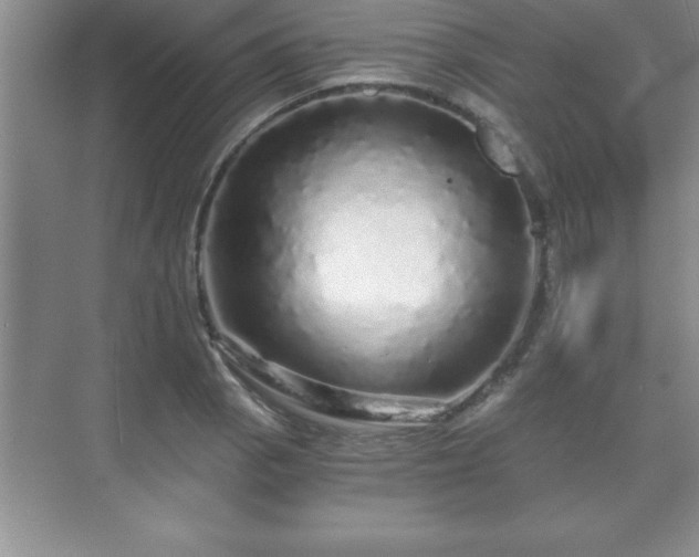 X0000071331129200606301554