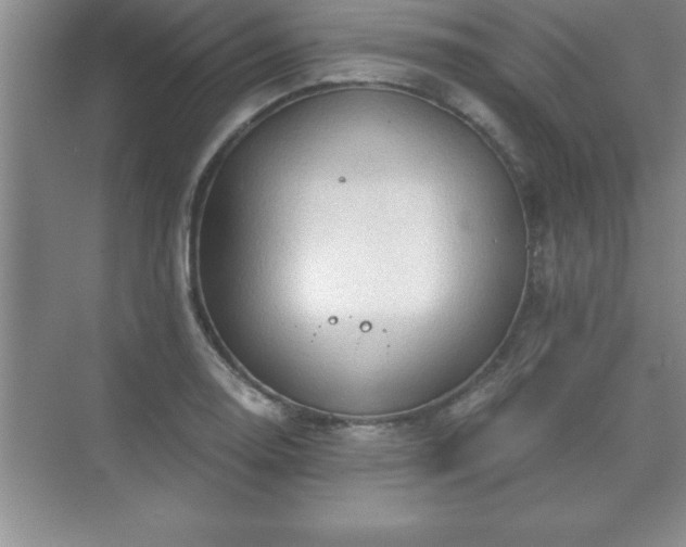 X0000071331130200606301554