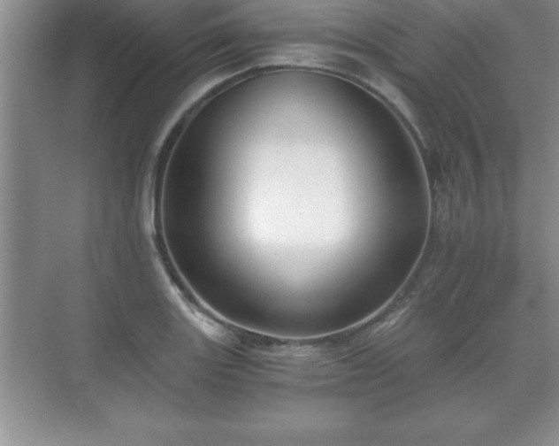 X0000071331131200606301554