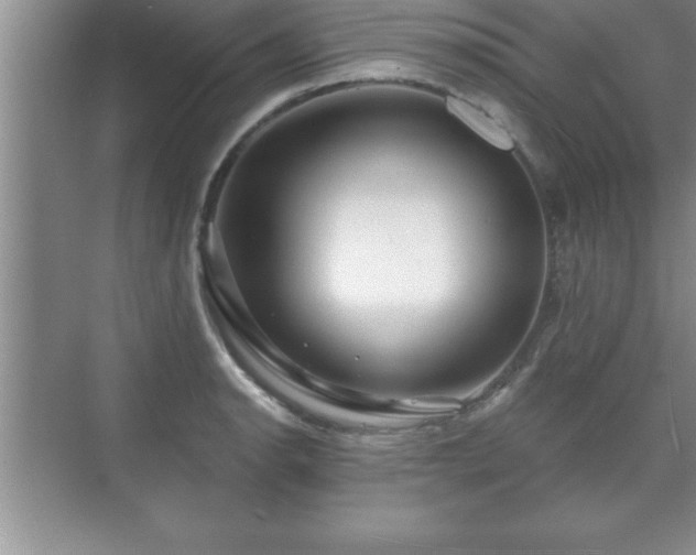 X0000071331134200606301554