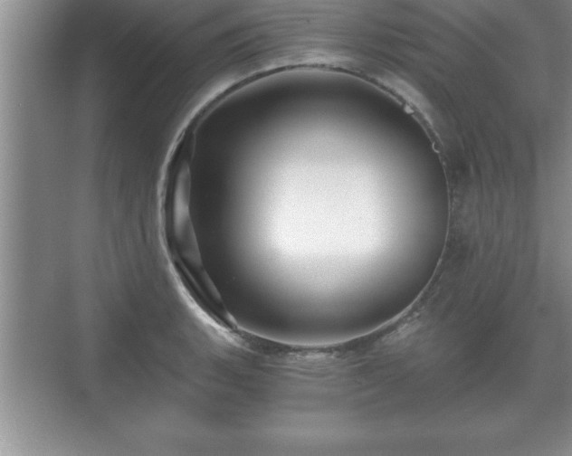 X0000071331135200606301554