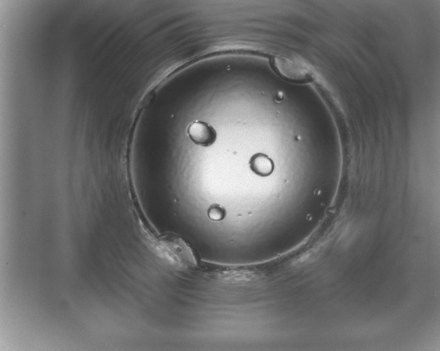 X0000071331137200606301554