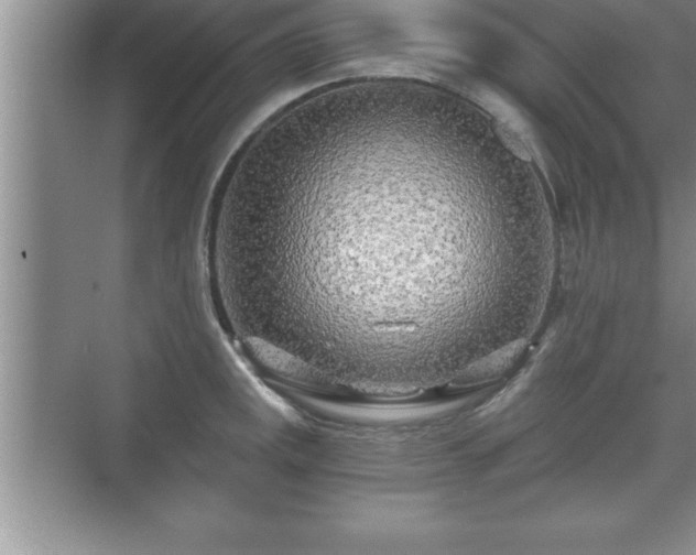 X0000071331141200606301554