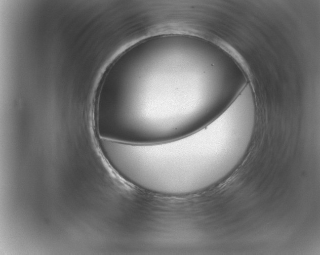 X0000071331144200606301554