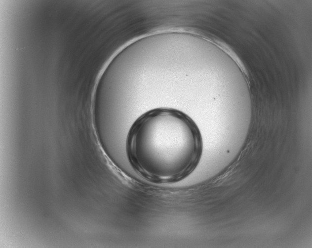 X0000071331148200606301554