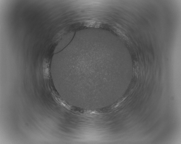 X0000071331154200606301553