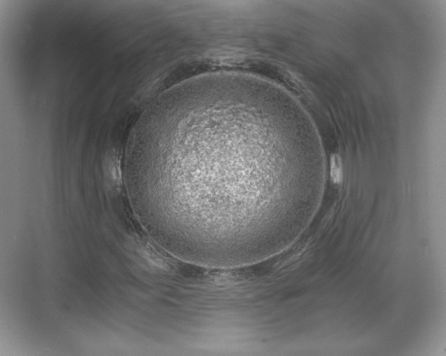 X0000071331155200606301553