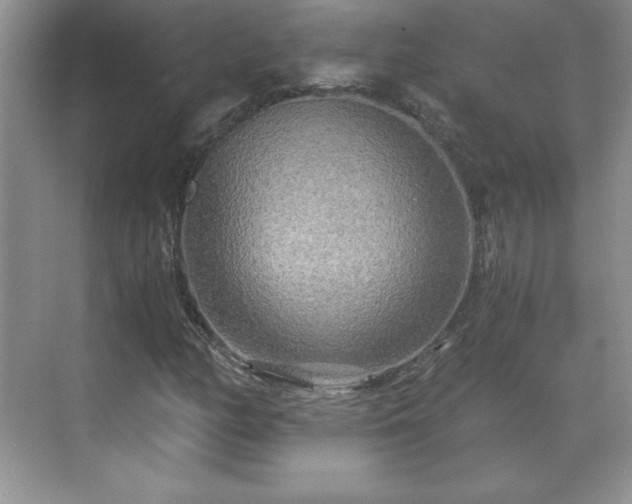 X0000071331158200606301553