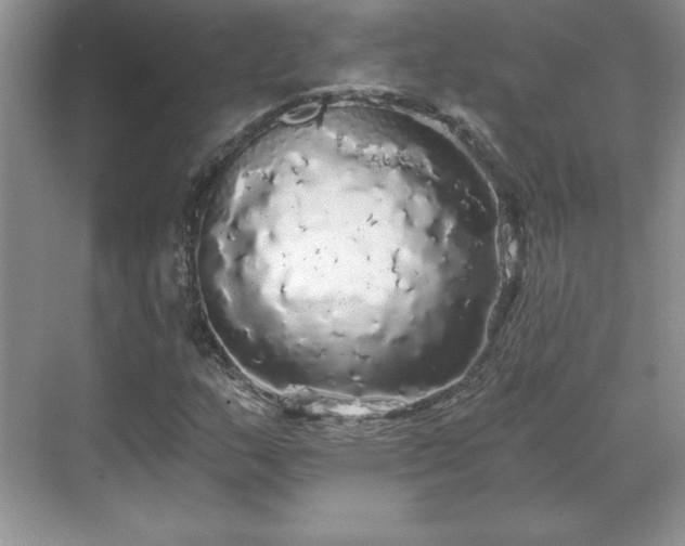 X0000071331159200606301553