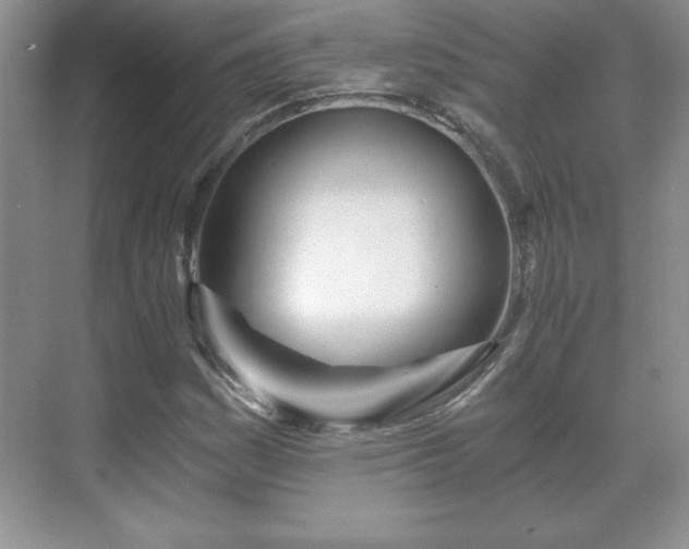 X0000071331161200606301553