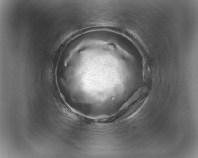 X0000071331163200606301553