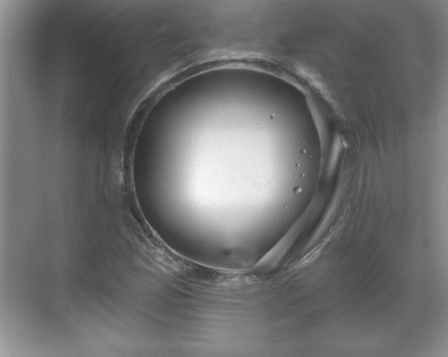 X0000071331165200606301553