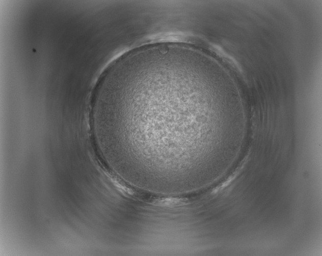 X0000071331166200606301553