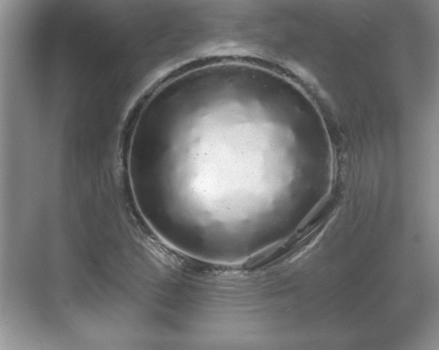 X0000071331167200606301553