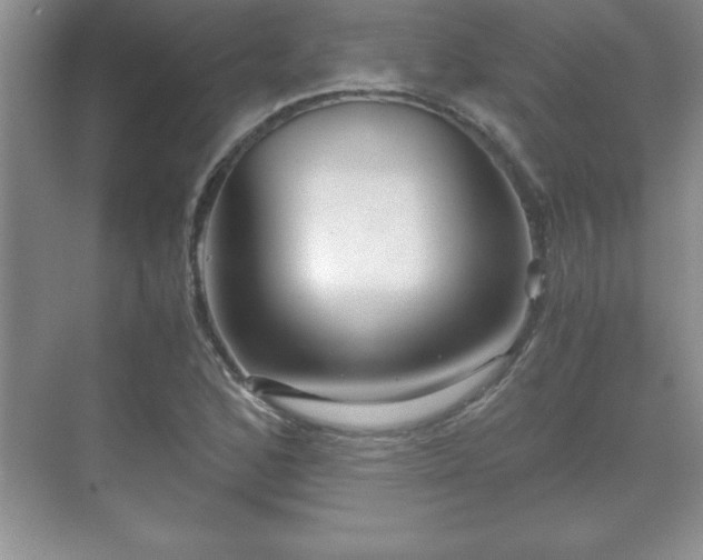 X0000071331168200606301553