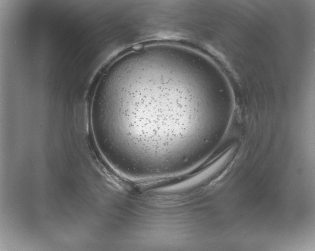 X0000071331171200606301553