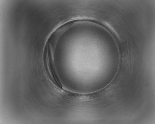 X0000071331173200606301553