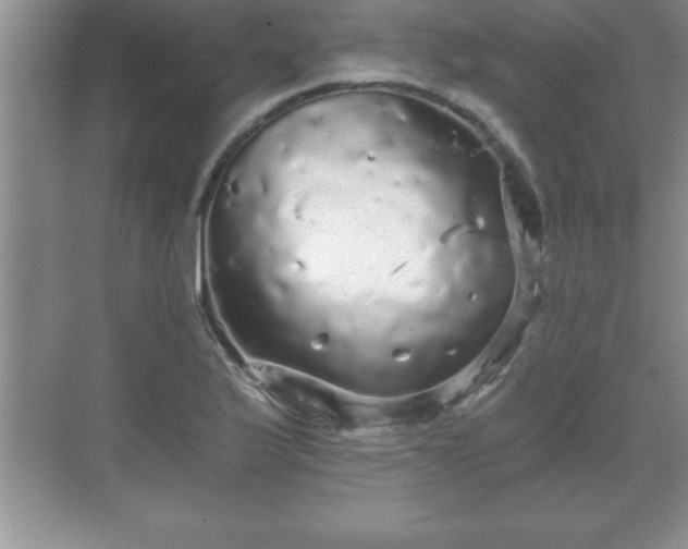 X0000071331175200606301553