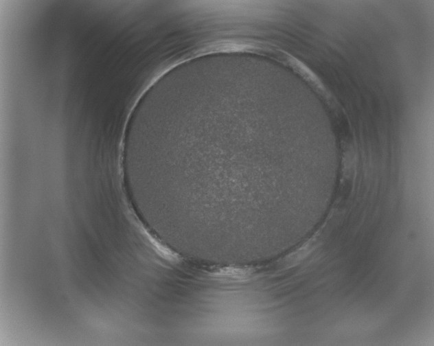 X0000071331178200606301553