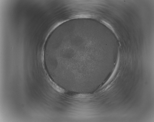 X0000071331179200606301553