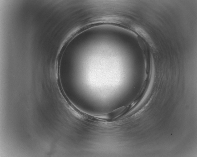 X0000071331180200606301553