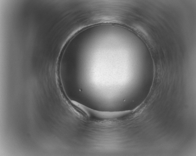 X0000071331182200606301553