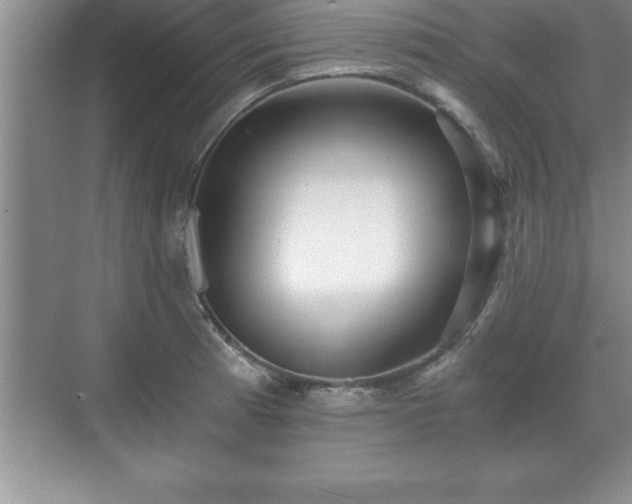 X0000071331185200606301553