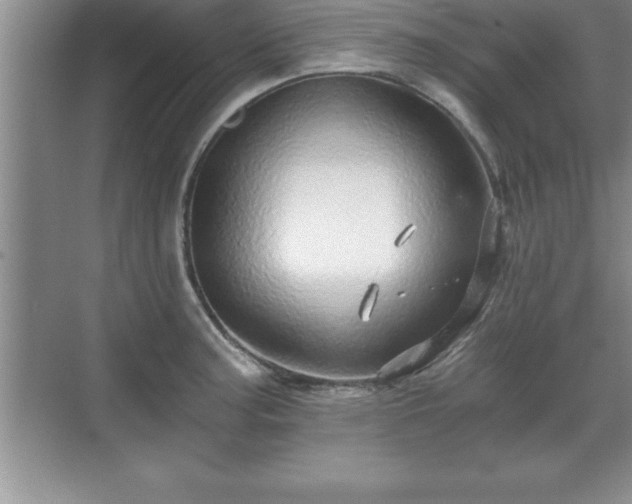 X0000071331187200606301553