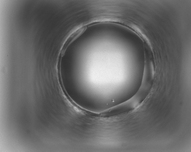 X0000071331189200606301553